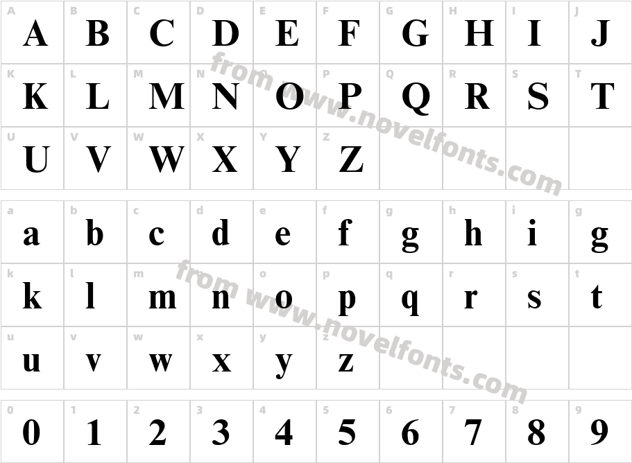 Times New Roman Cyr pogrubionyCharacter Map