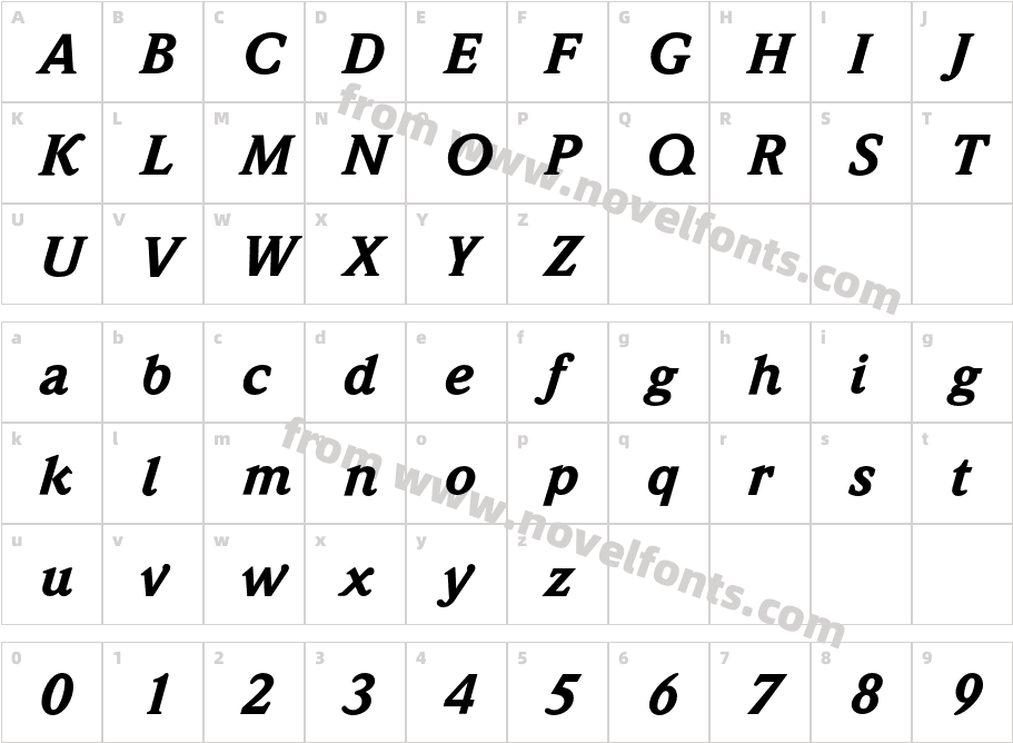 WeidemannEF-BlackItalicCharacter Map