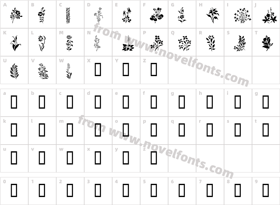 Wildflowers1Character Map