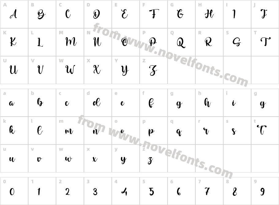 Bailey AustinCharacter Map