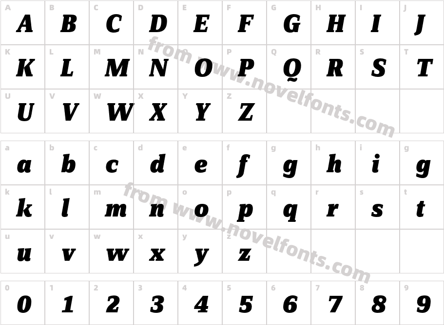 ZineSerifDis-BlackItalicTfCharacter Map