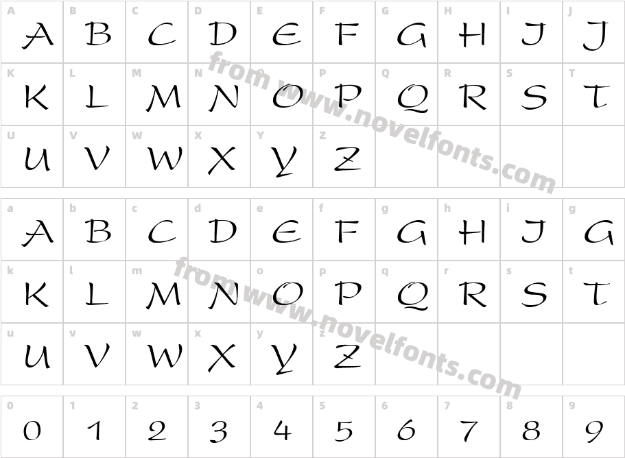 . Vn PresentH MediumCharacter Map