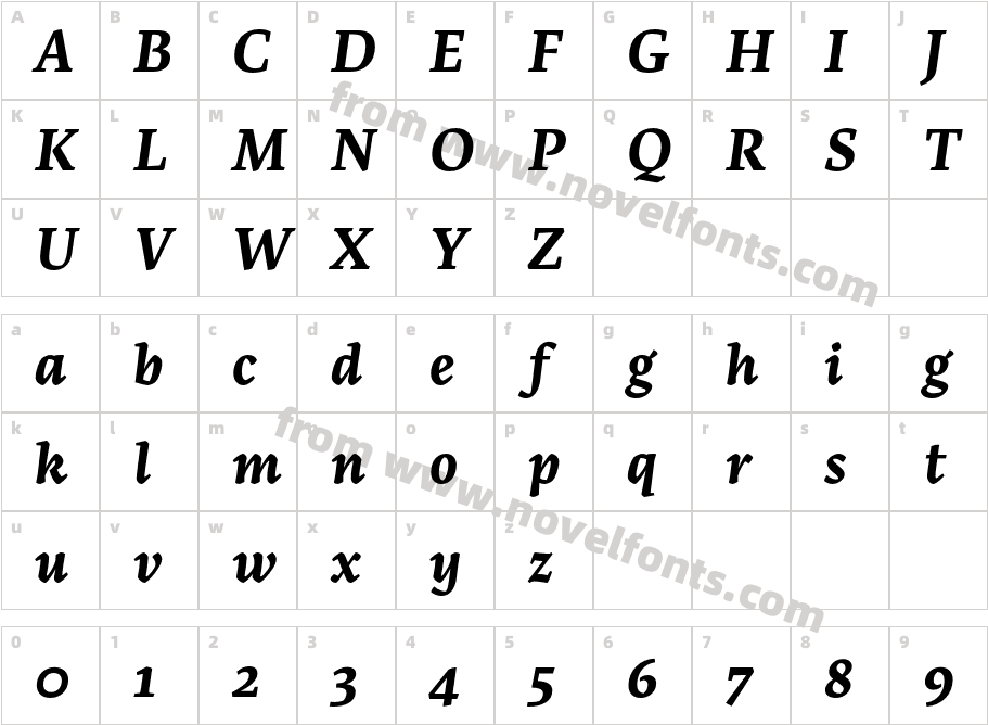 Artigo Bold ItalicCharacter Map