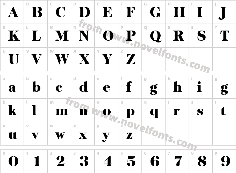 Baskerville HeavyCharacter Map