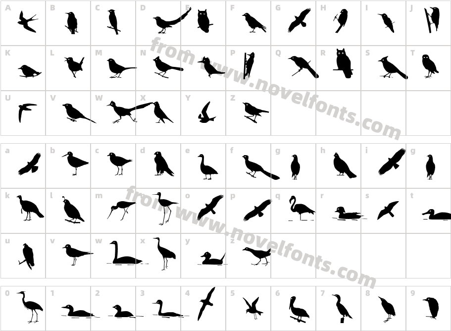 Bird SilhouettesCharacter Map