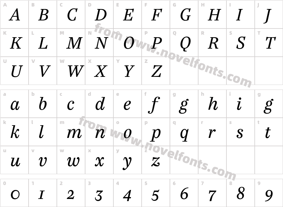 Casus Pro Book ItalicCharacter Map