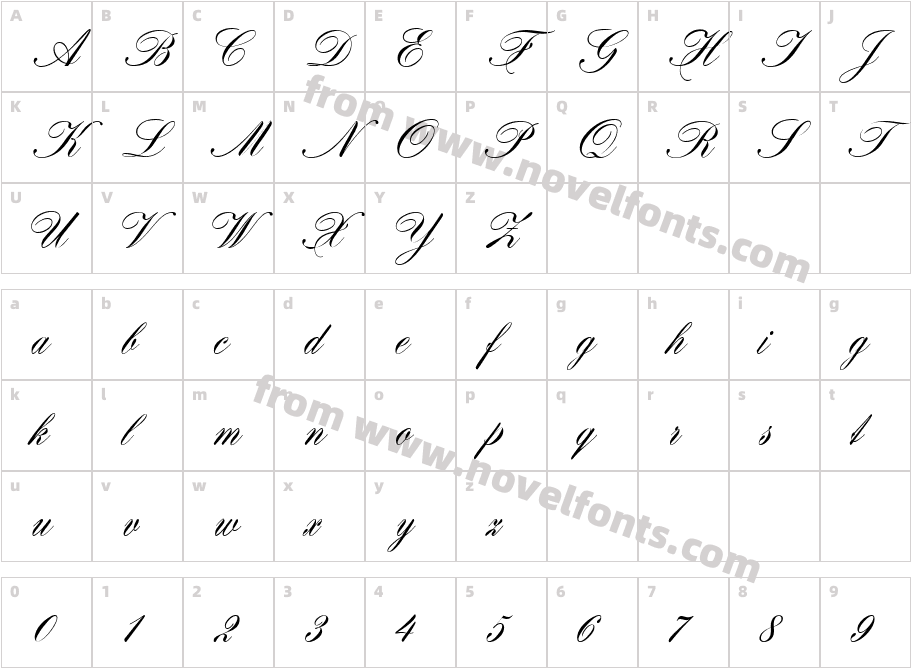 Certificate Script RegularCharacter Map