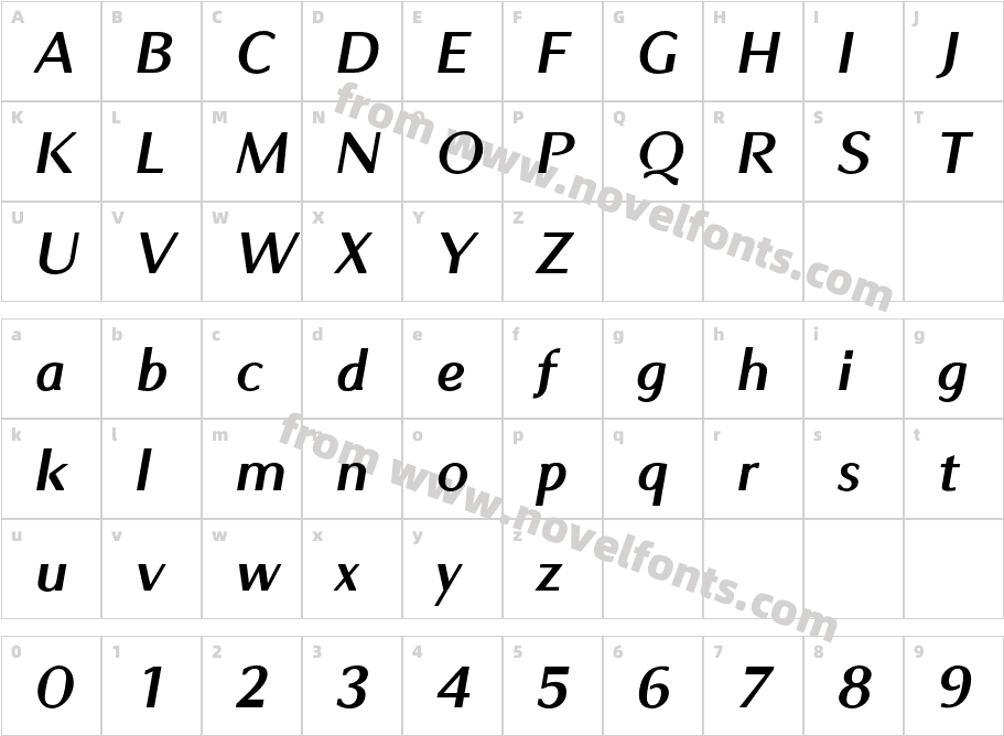 Chiq Meidum ItalicCharacter Map