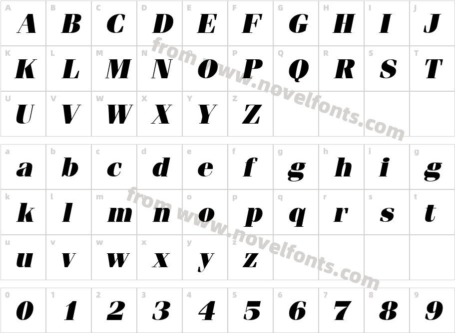 Compendium BlackS Si ItalicCharacter Map