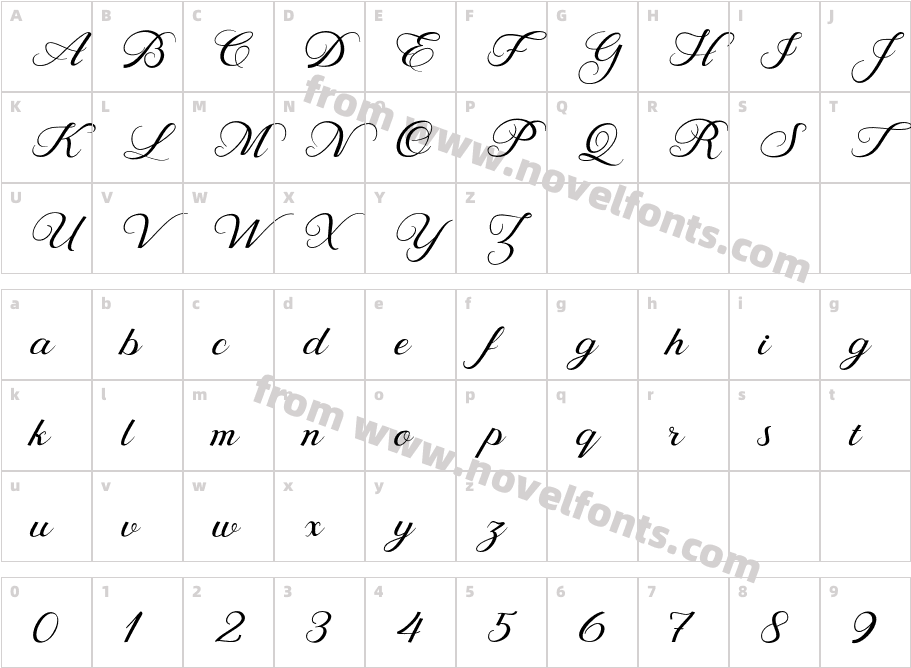 BehindScriptCharacter Map