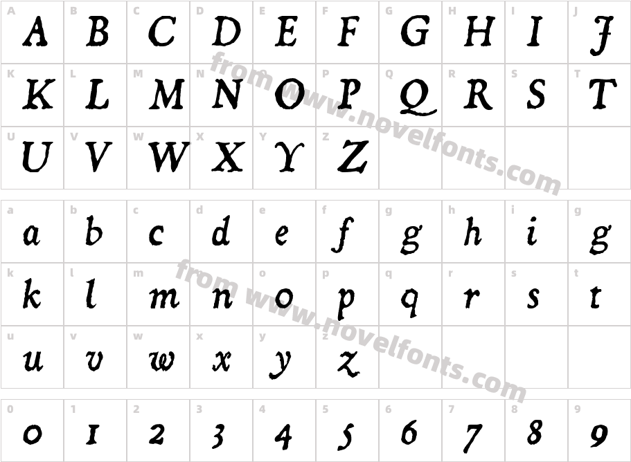 Dominican ItalicCharacter Map