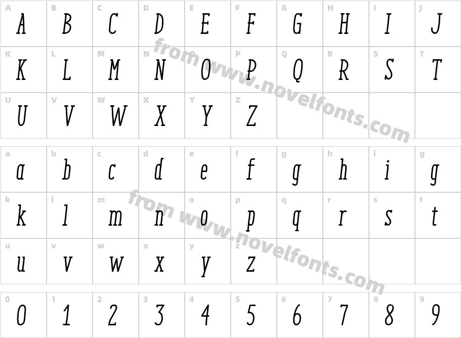 EnyoSlabMediumItalicCharacter Map