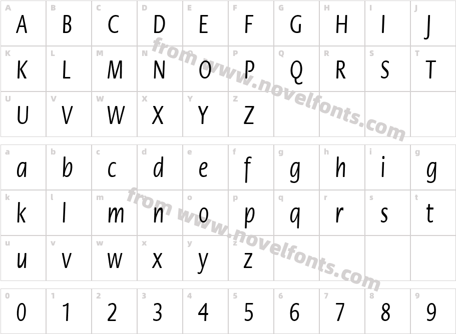 FZ BASIC 17 CONDCharacter Map