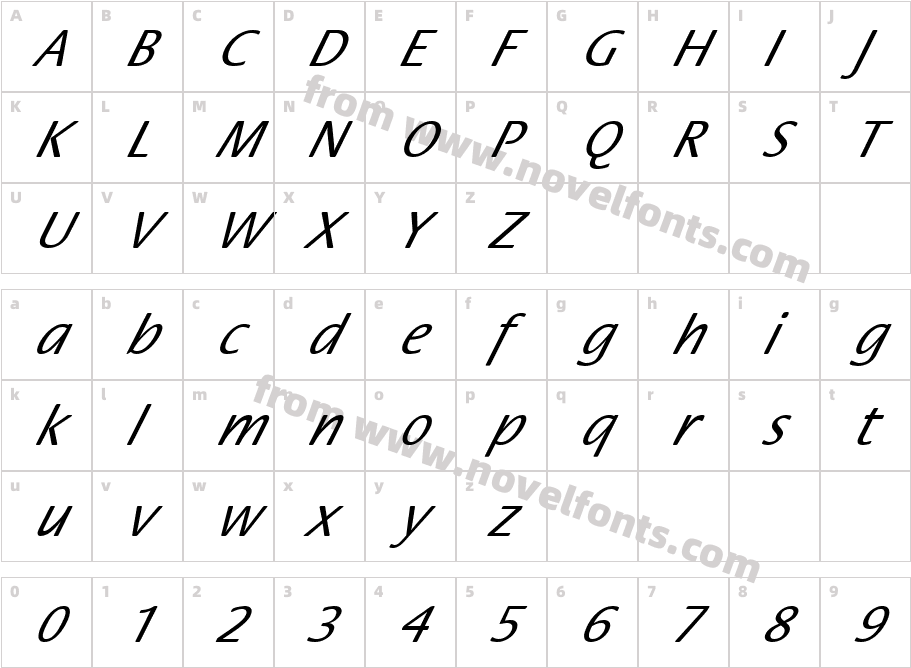 FZ BASIC 17 ITALICCharacter Map