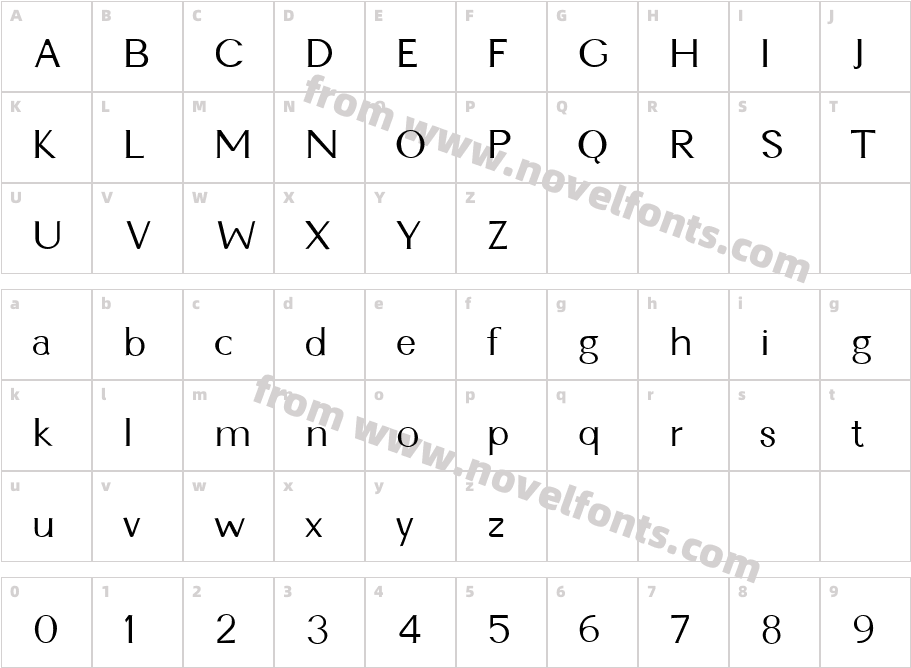 FZ BASIC 22 CONDCharacter Map