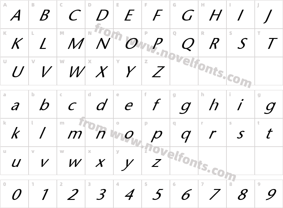 FZ BASIC 25 ITALICCharacter Map