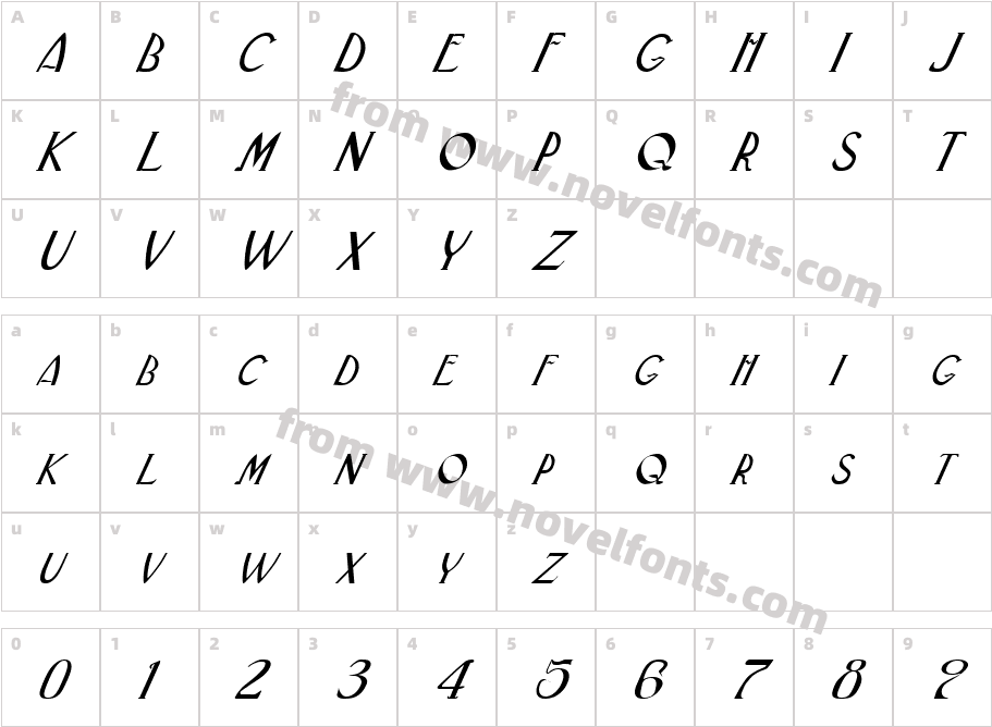 FZ BASIC 33 ITALICCharacter Map