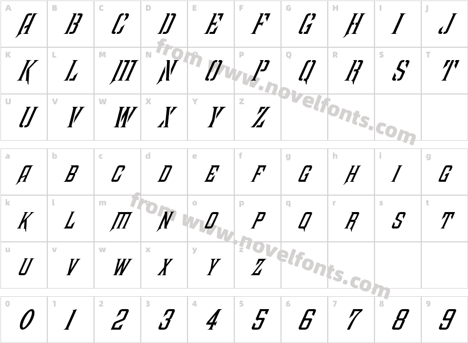 FZ BASIC 41 ITALICCharacter Map