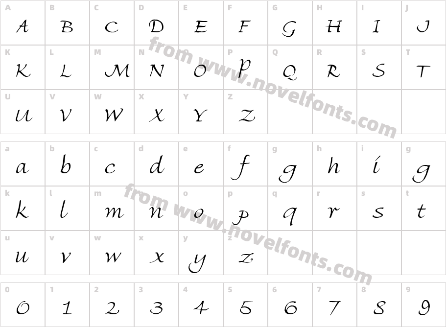 FZ HAND 8Character Map