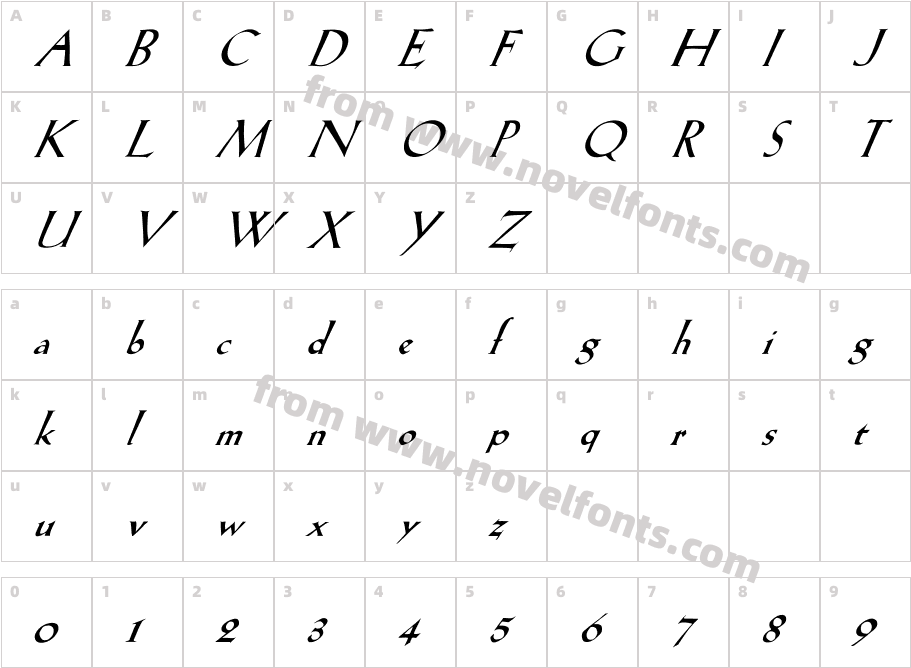 FZ ROMAN 19 ITALICCharacter Map