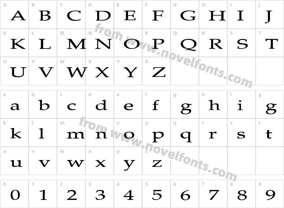 FZ ROMAN 21 EXCharacter Map