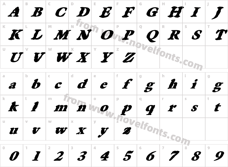 FZ ROMAN 25 MANGLED ITALICCharacter Map