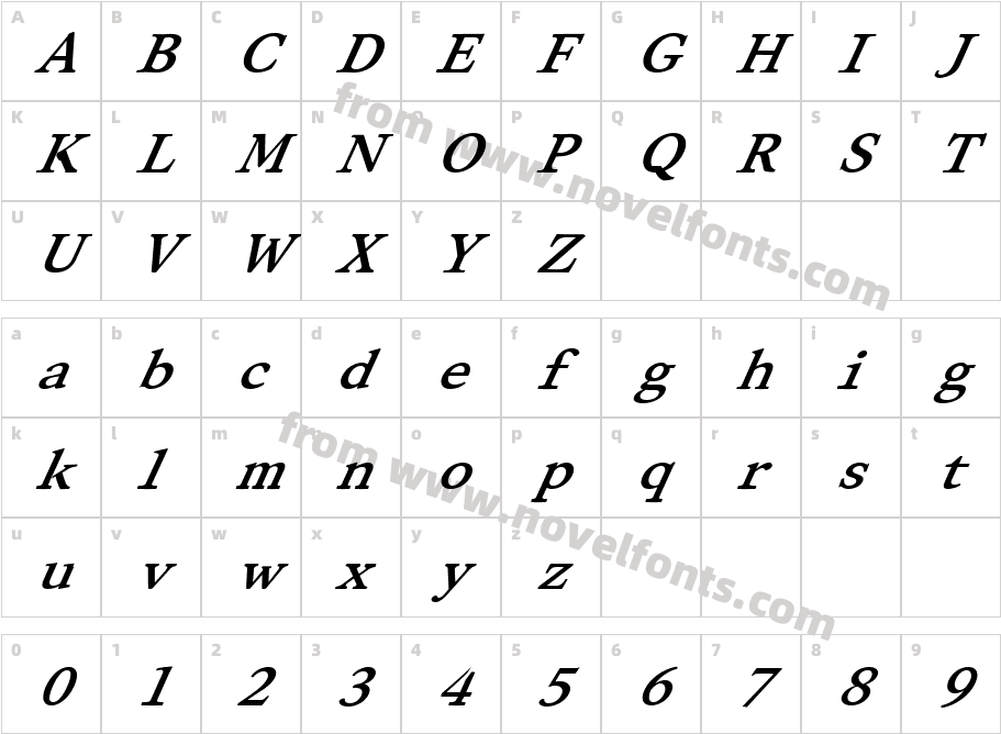 FZ ROMAN 28 ITALICCharacter Map