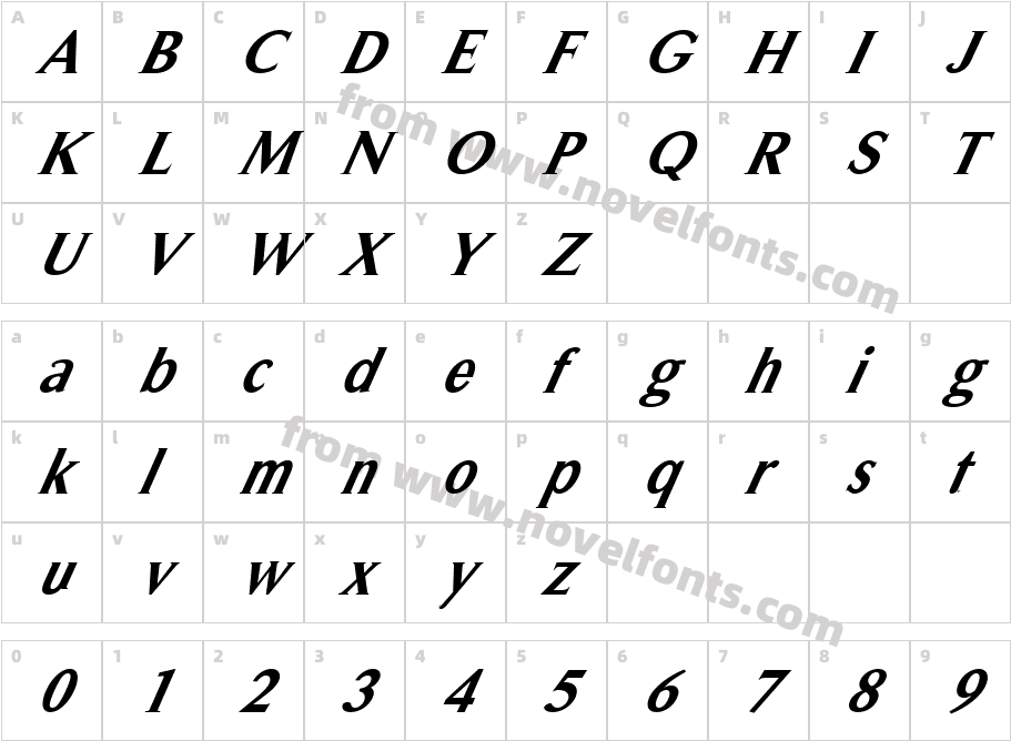 FZ ROMAN 31 ITALICCharacter Map