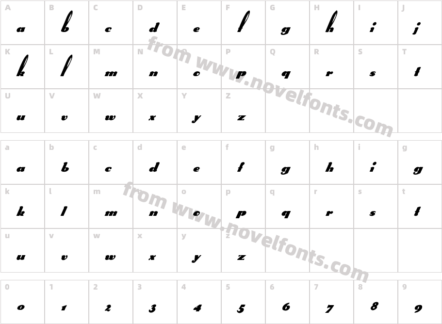 FZ UNIQUE 41 ITALICCharacter Map