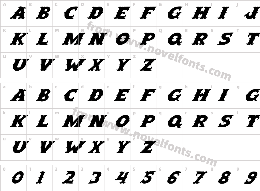 FZ UNIQUE 42 ITALICCharacter Map