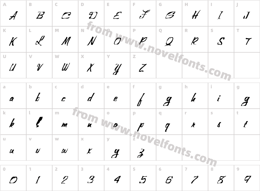 FZ WARPED 25 ITALICCharacter Map