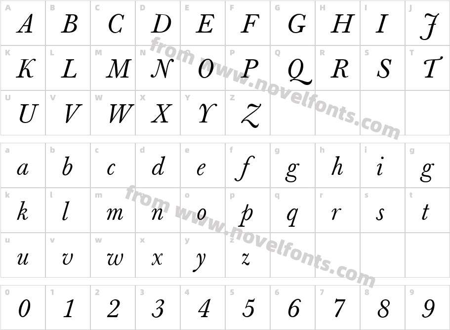 Berthold Baskerville Book ItalicCharacter Map