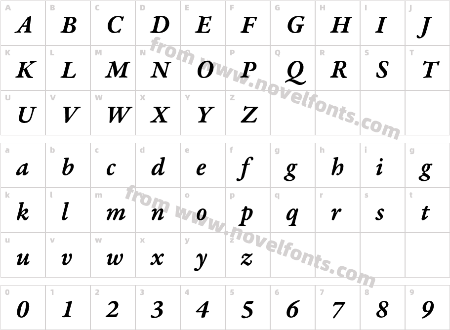 Garamond Premr Pro Smbd It CaptCharacter Map