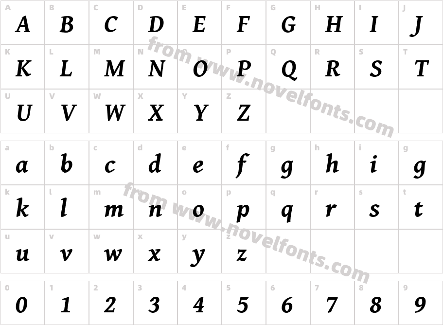 Gentium Book Basic Bold ItalicCharacter Map