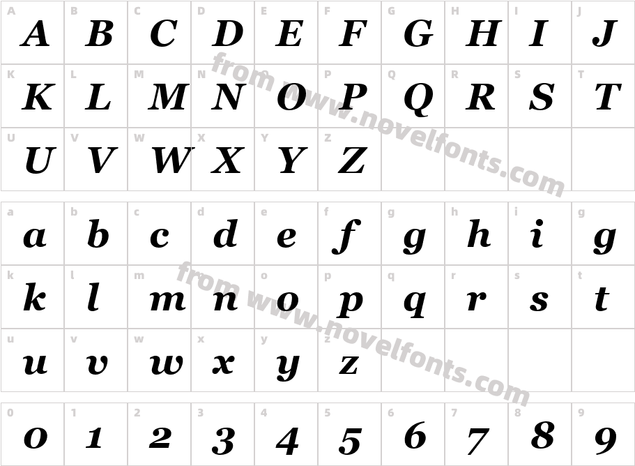 MS Reference Serif Gras ItaliqueCharacter Map