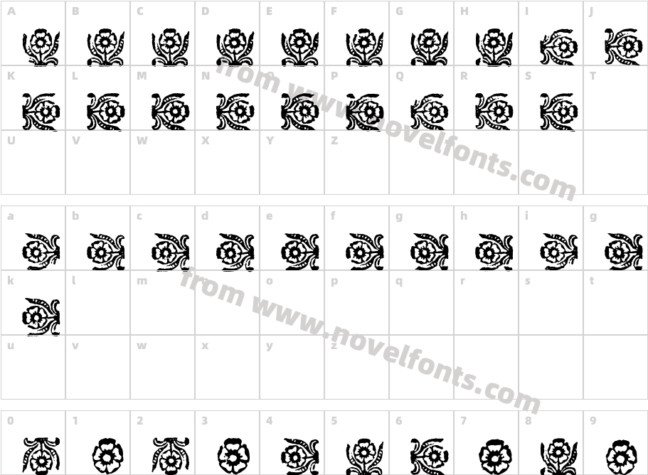 Marigold BorderWFCharacter Map