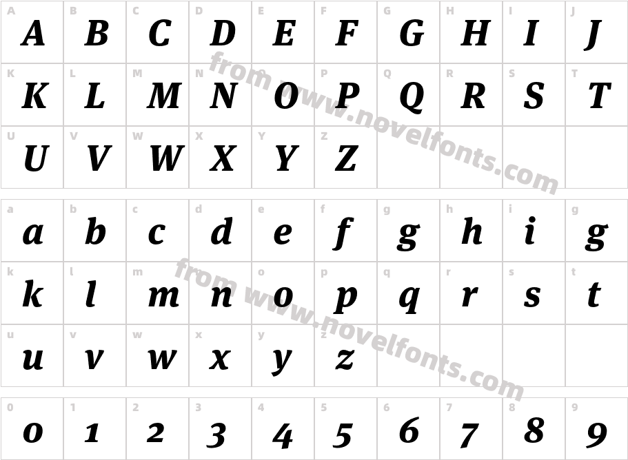 Meta Serif Pro Extrabold ItalicCharacter Map