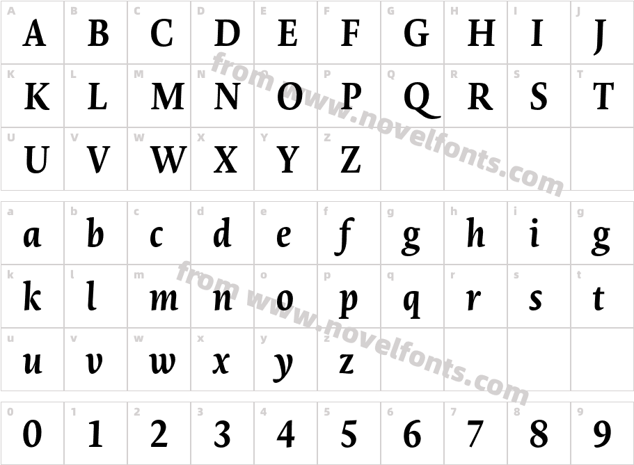 Novel Pro Bold ItCharacter Map