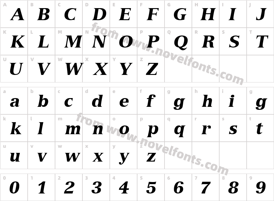 Nuance BlackS Si ItalicCharacter Map