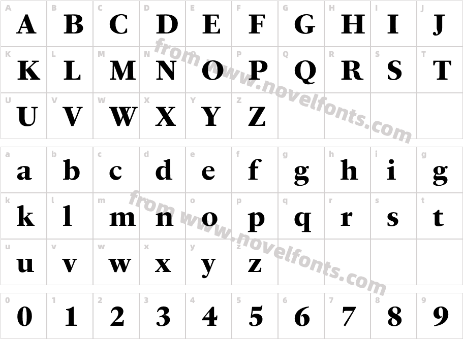 PS Fournier Std HeavyCharacter Map