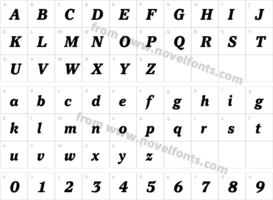 PacellaEF-BlackItalicCharacter Map