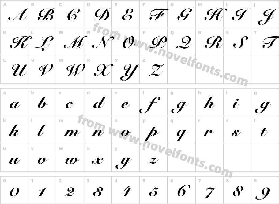 Rose Round BlackCharacter Map