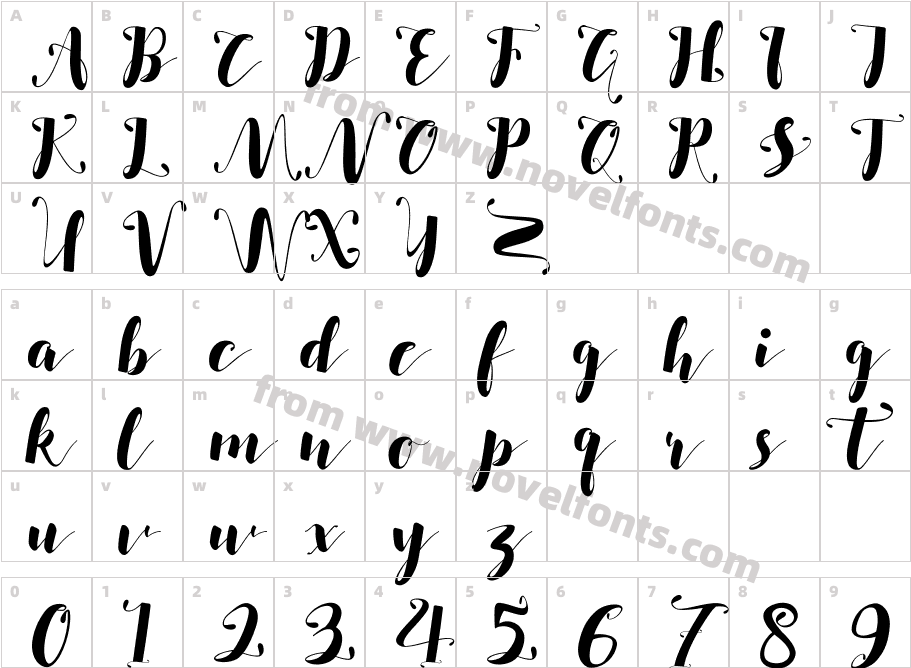 SALSABILLACharacter Map