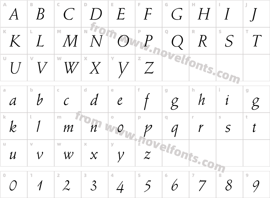 Schneidler CG ItalicCharacter Map