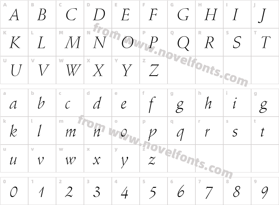 Schneidler Lt BT Light ItalicCharacter Map