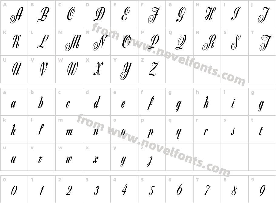 Script Z650 RegularCharacter Map