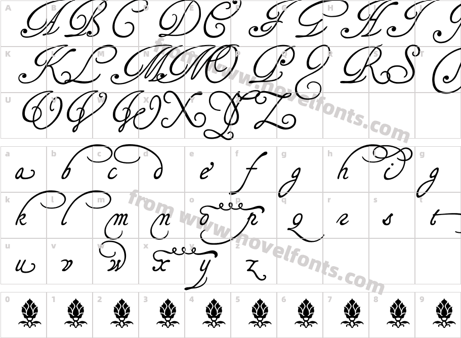 Tagettes PlusCharacter Map