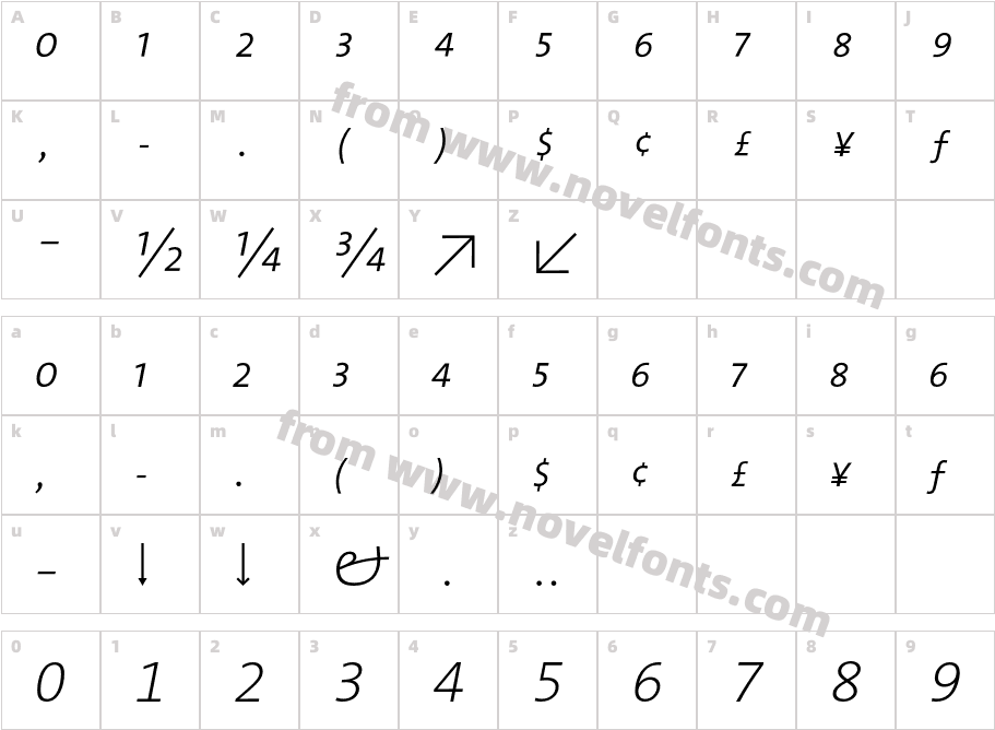 The Sans Extra Light Expert ItalicCharacter Map