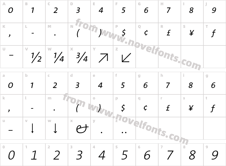 The Sans Light Expert ItalicCharacter Map