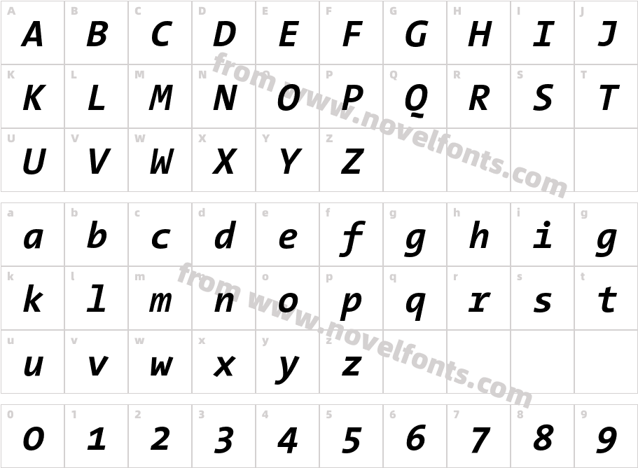 The Sans Mono Bold ItalicCharacter Map